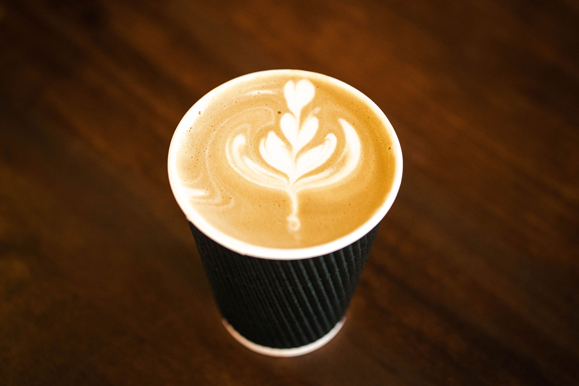 kivu-lava-center-best-coffee